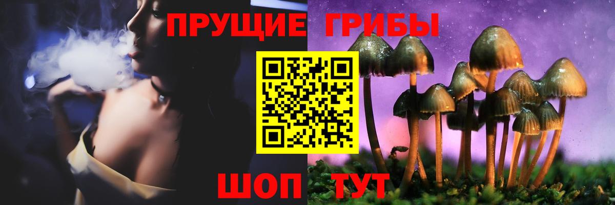 Галлюциногенные грибы MAGIC MUSHROOMS Тавда